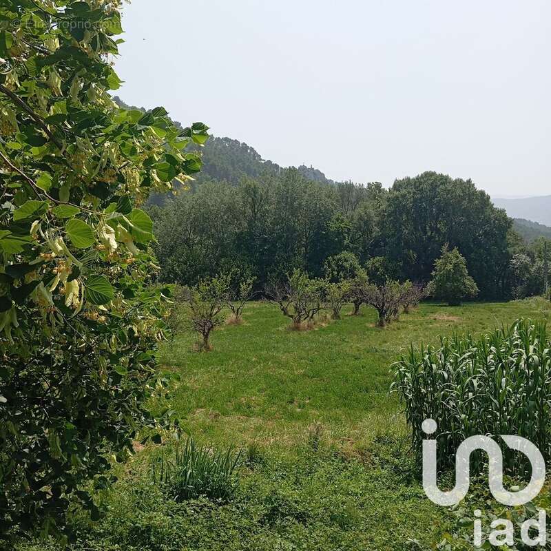 Photo 4 - Terrain à BUIS-LES-BARONNIES