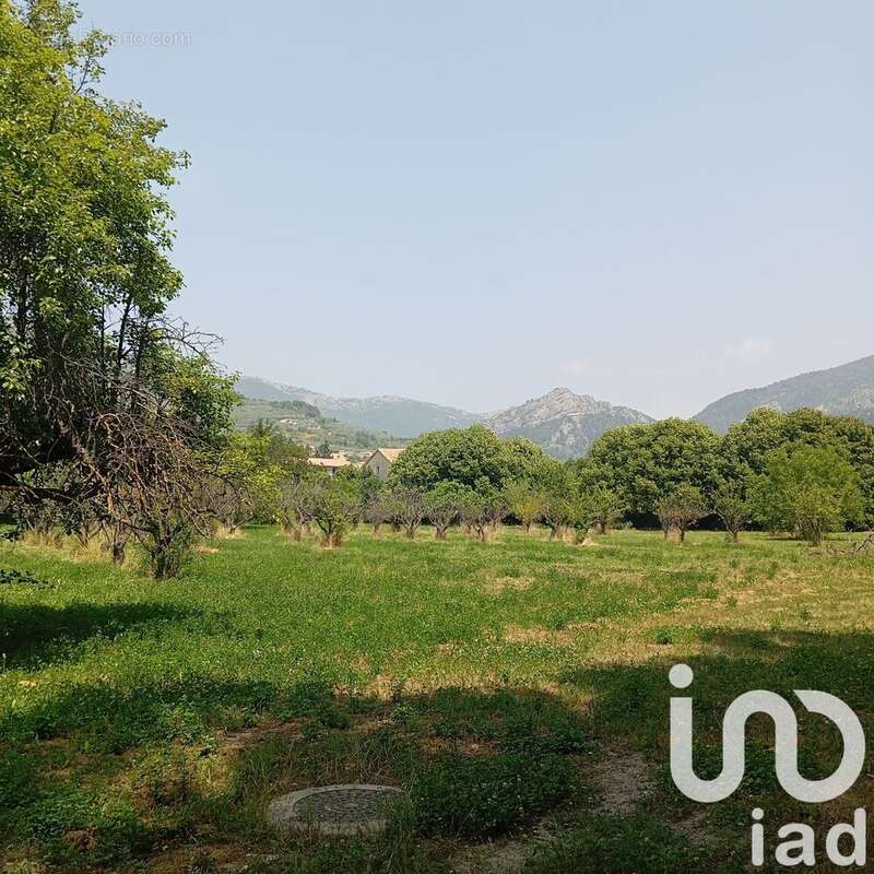 Photo 5 - Terrain à BUIS-LES-BARONNIES