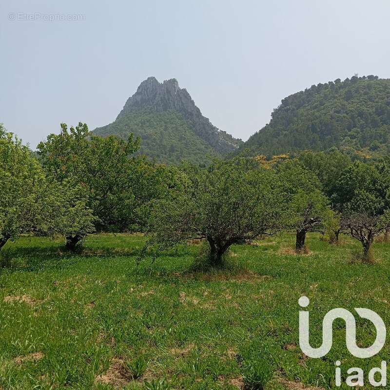 Photo 7 - Terrain à BUIS-LES-BARONNIES