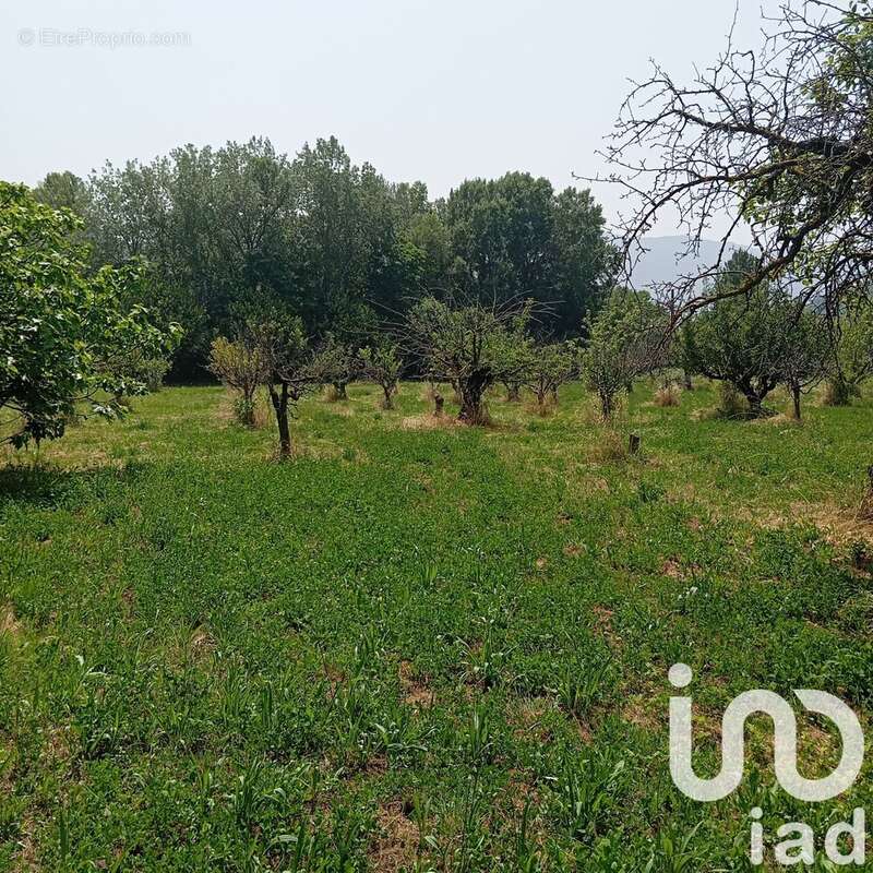 Photo 8 - Terrain à BUIS-LES-BARONNIES