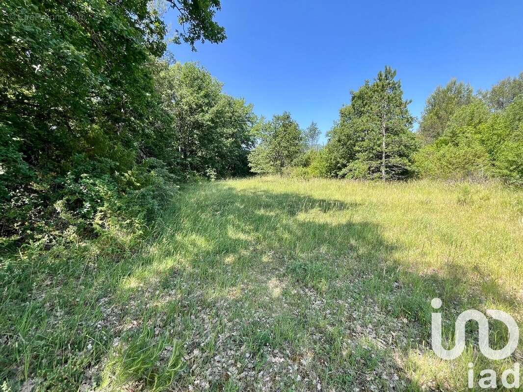 Photo 2 - Terrain à NANS-LES-PINS