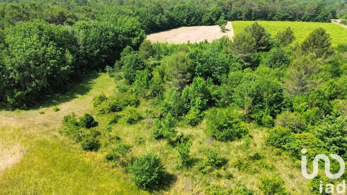 Photo 4 - Terrain à NANS-LES-PINS