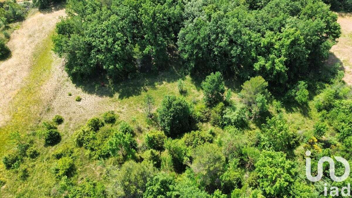 Photo 5 - Terrain à NANS-LES-PINS