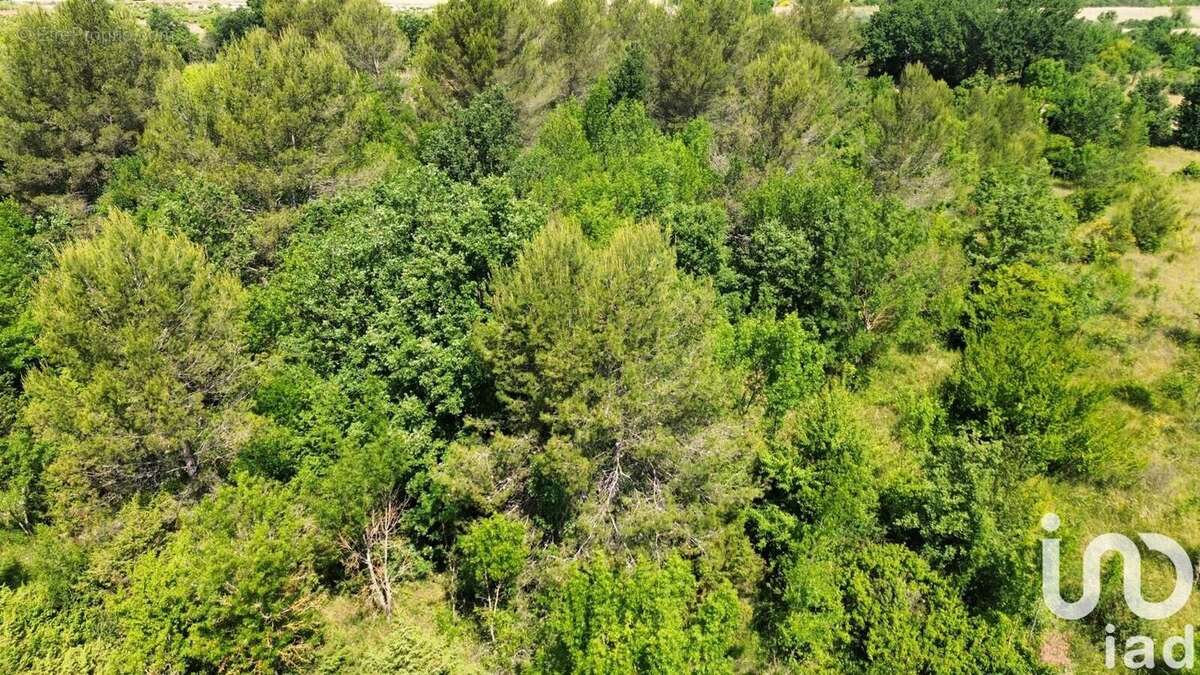 Photo 7 - Terrain à NANS-LES-PINS