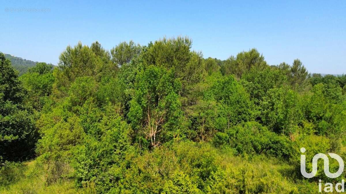 Photo 8 - Terrain à NANS-LES-PINS