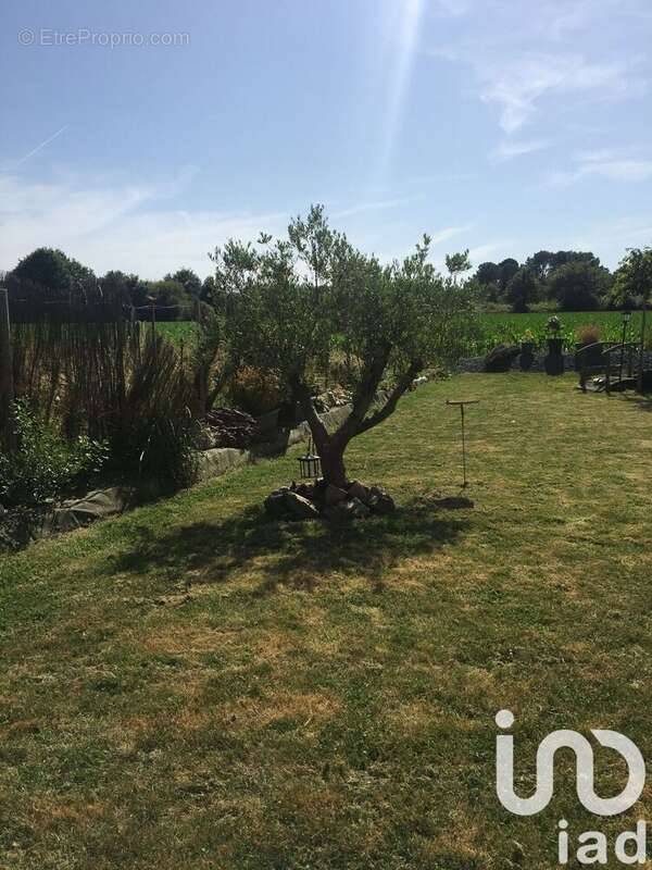 Photo 7 - Maison à SAINT-MOLF