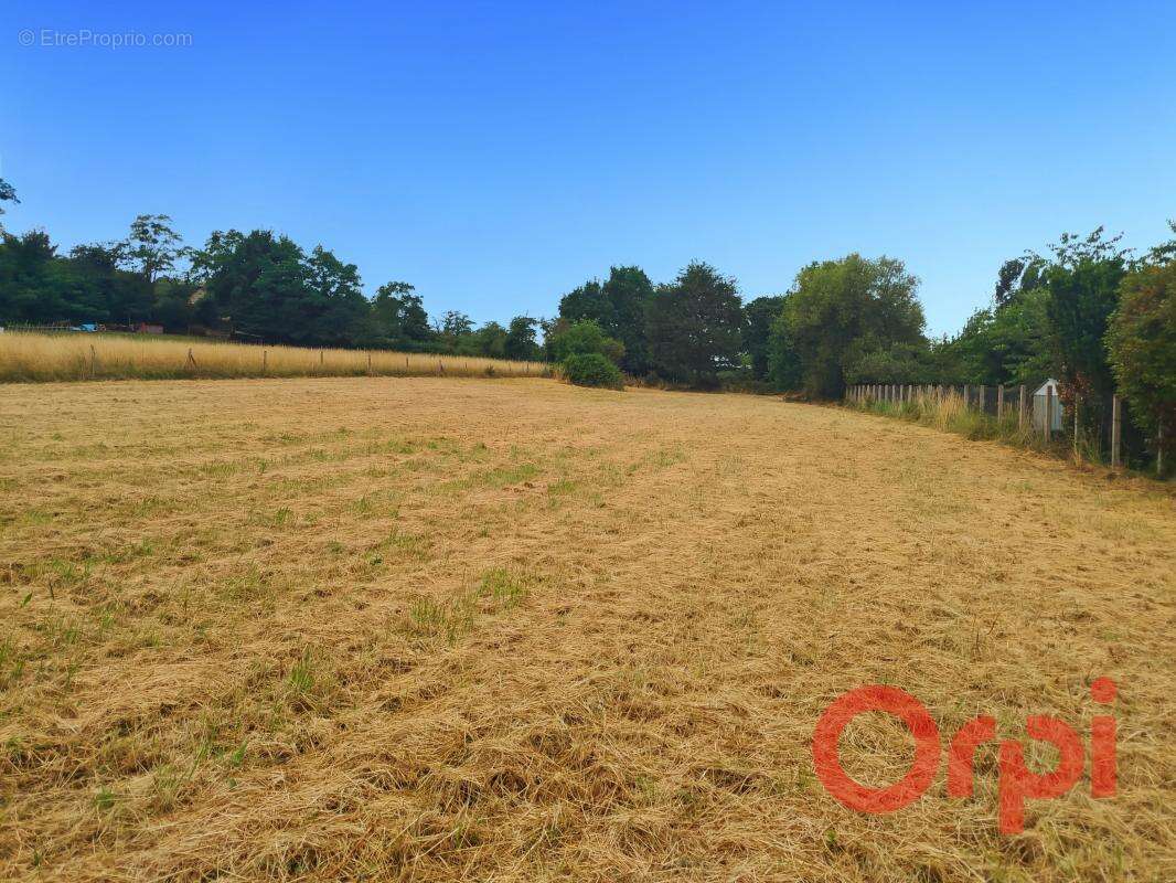 Terrain à SAINT-AMAND-MONTROND