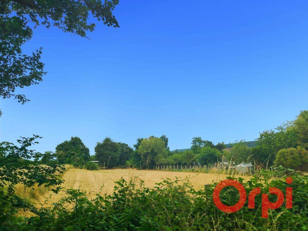 Terrain à SAINT-AMAND-MONTROND