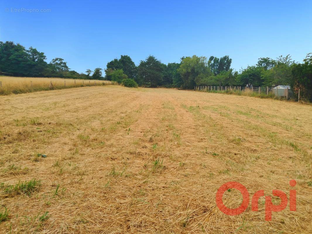 Terrain à SAINT-AMAND-MONTROND