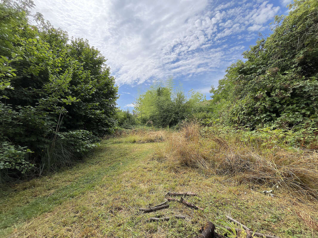 Terrain à MESSERY