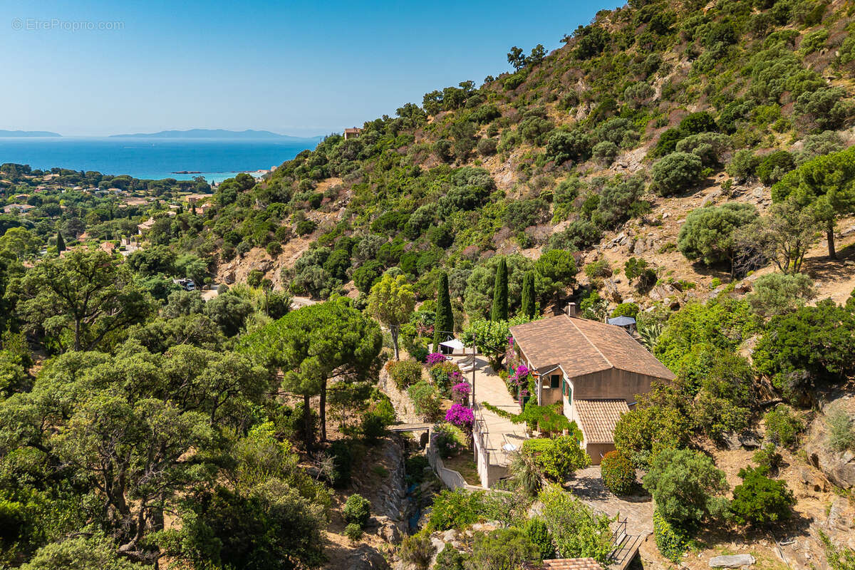 Maison à LE LAVANDOU