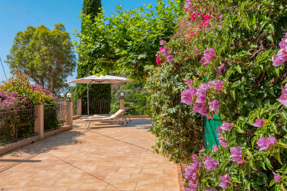 Maison à LE LAVANDOU