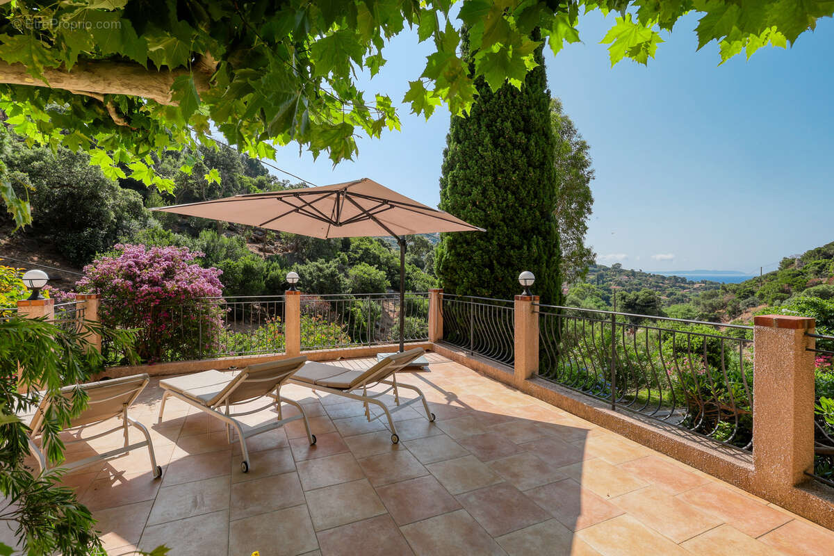 Maison à LE LAVANDOU