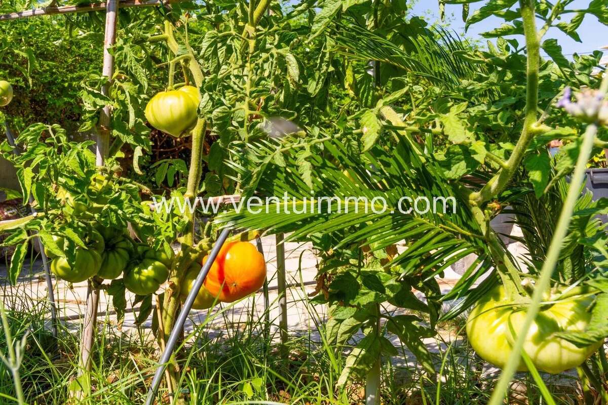 Maison à CAGNES-SUR-MER