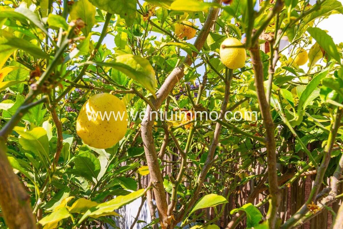Maison à CAGNES-SUR-MER