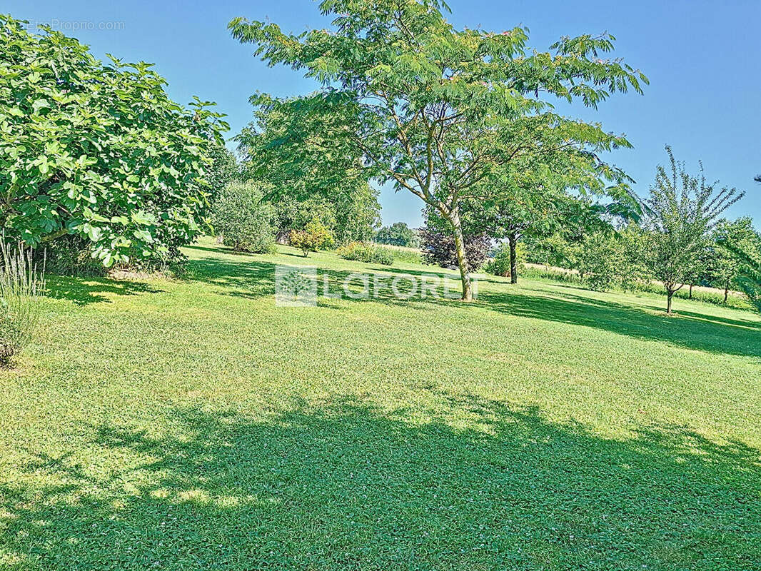 Maison à BELLEVILLE