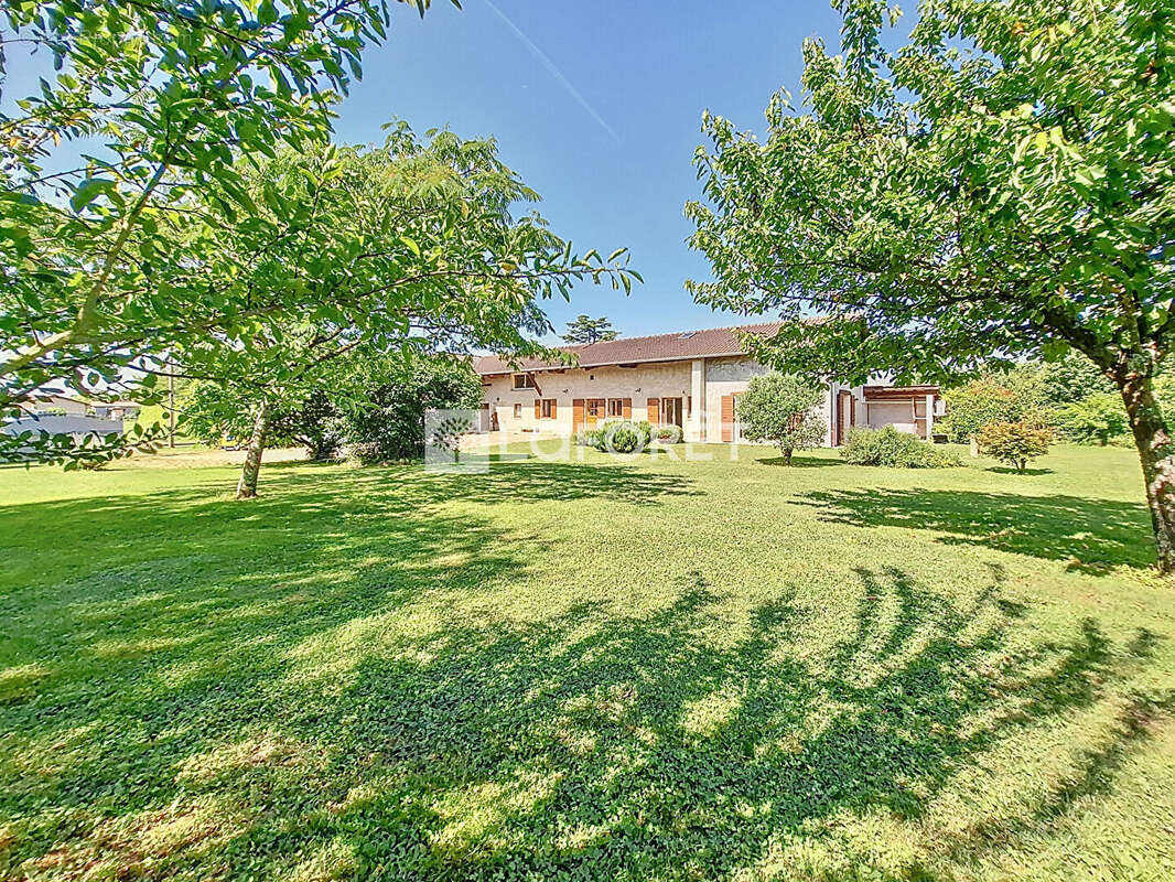 Maison à BELLEVILLE