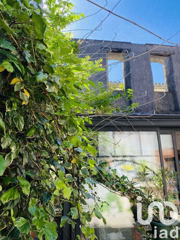 Photo 7 - Maison à FANJEAUX