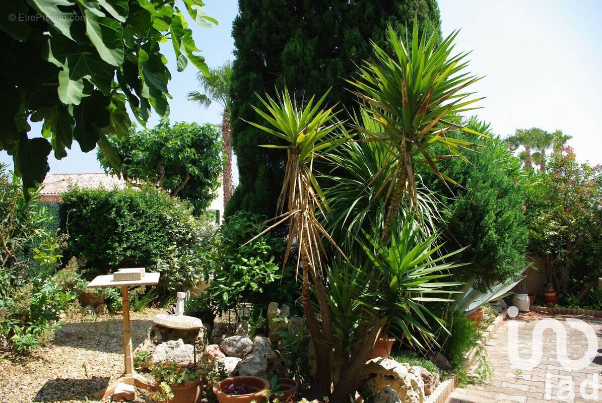 Photo 1 - Maison à MEZE