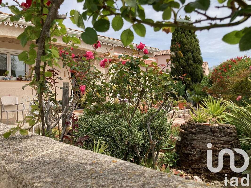 Photo 6 - Maison à MEZE