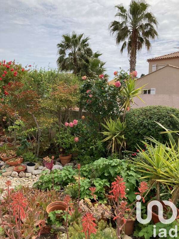 Photo 8 - Maison à MEZE