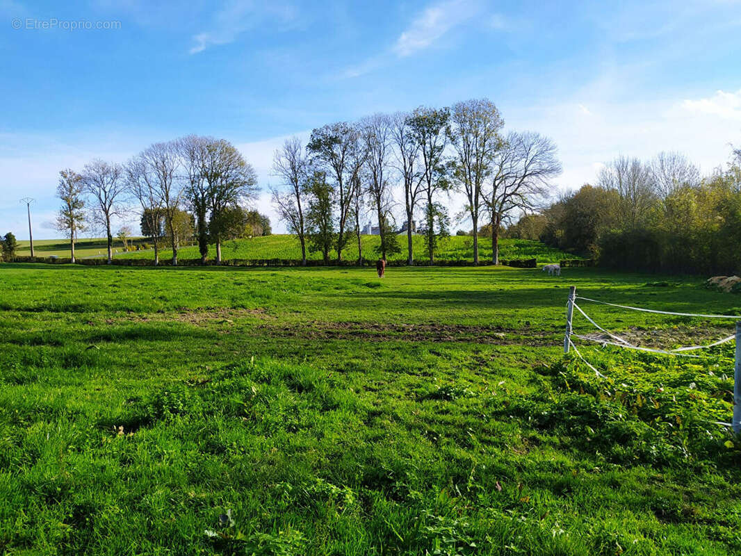 Maison à NEUFCHATEL-EN-BRAY