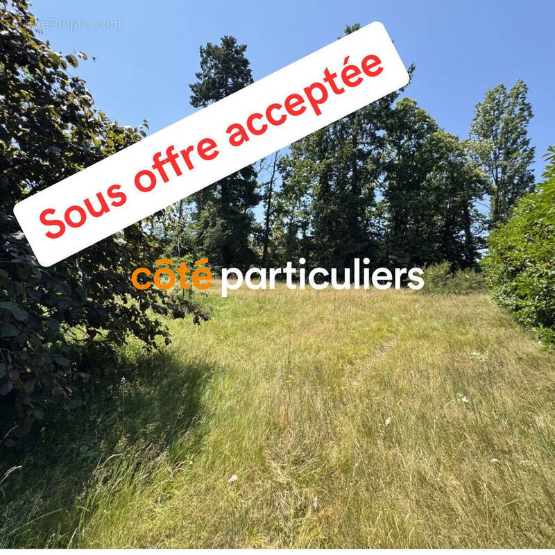 Terrain à SAINT-DENIS-EN-VAL