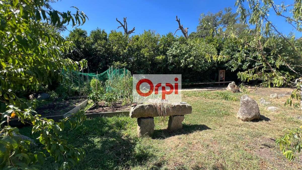 Maison à PORTO-VECCHIO