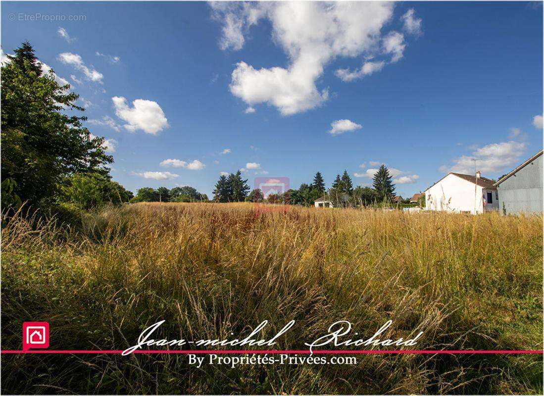 Terrain à SELLES-SUR-CHER