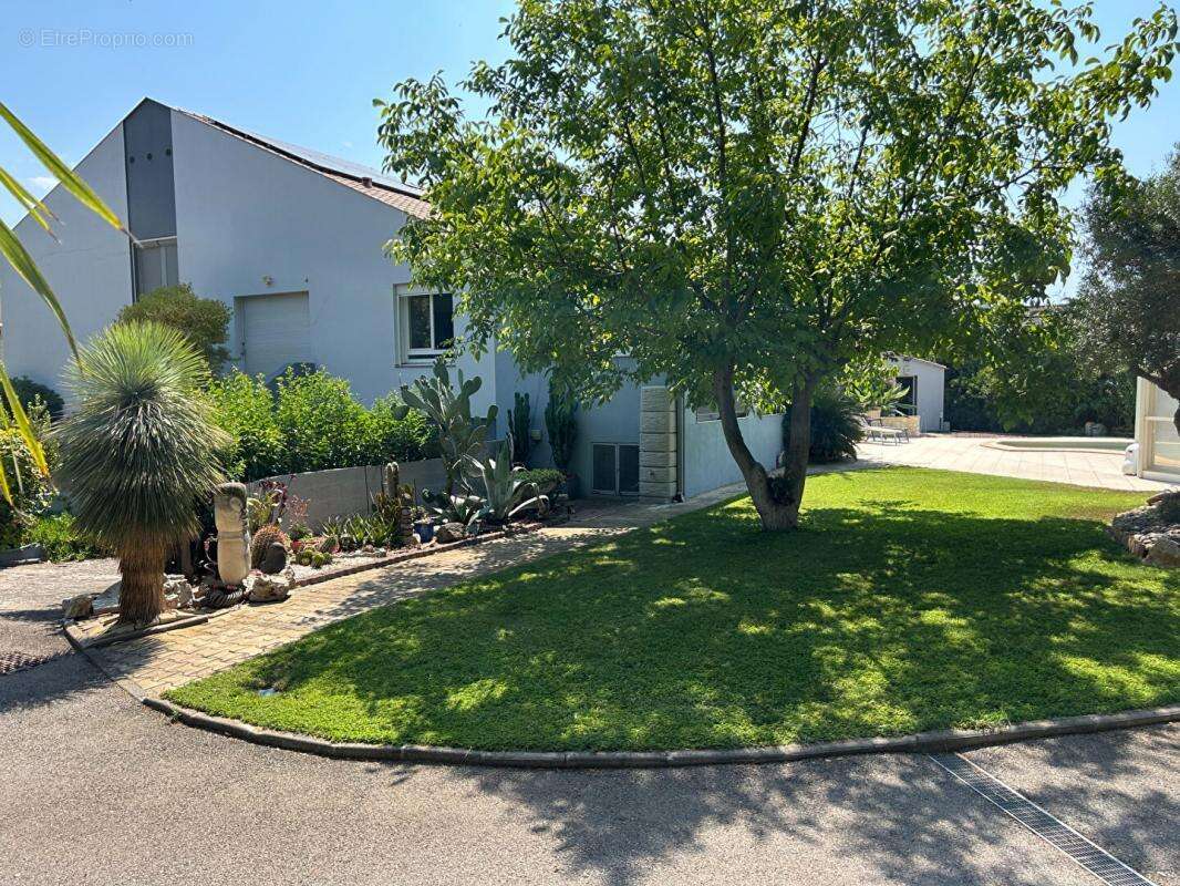 Maison à FRONTIGNAN