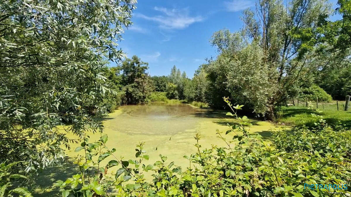 Maison à SAINT-GERMAIN-DU-PLAIN