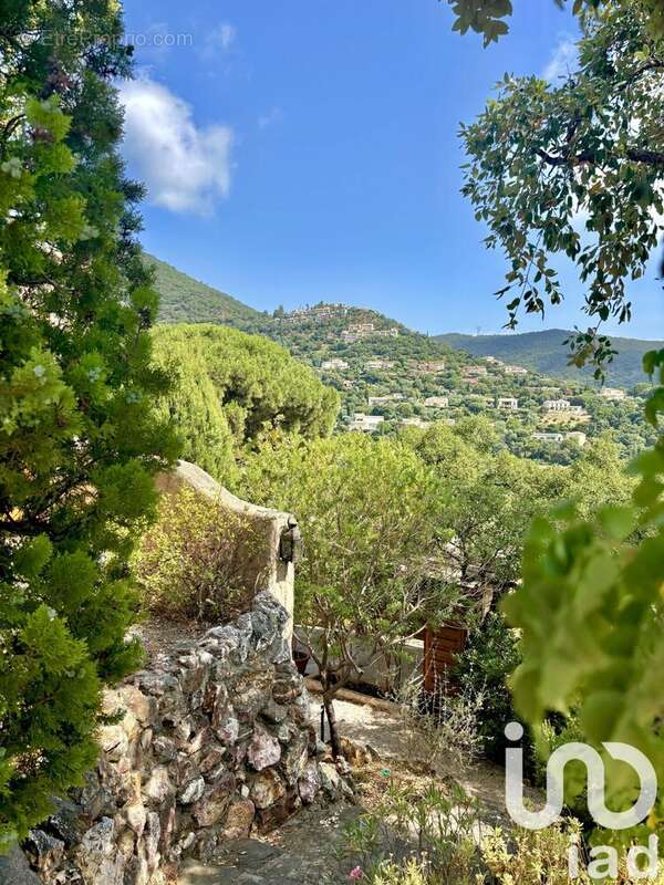 Photo 8 - Maison à CAVALAIRE-SUR-MER