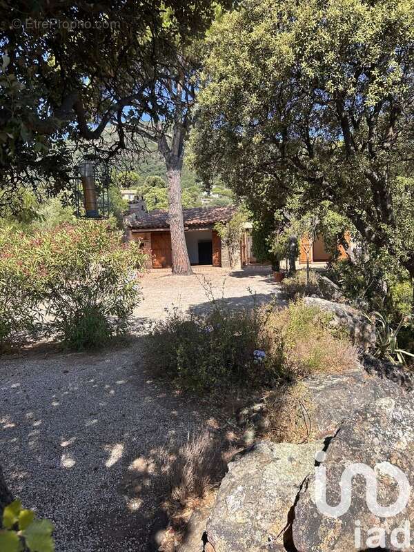 Photo 9 - Maison à CAVALAIRE-SUR-MER