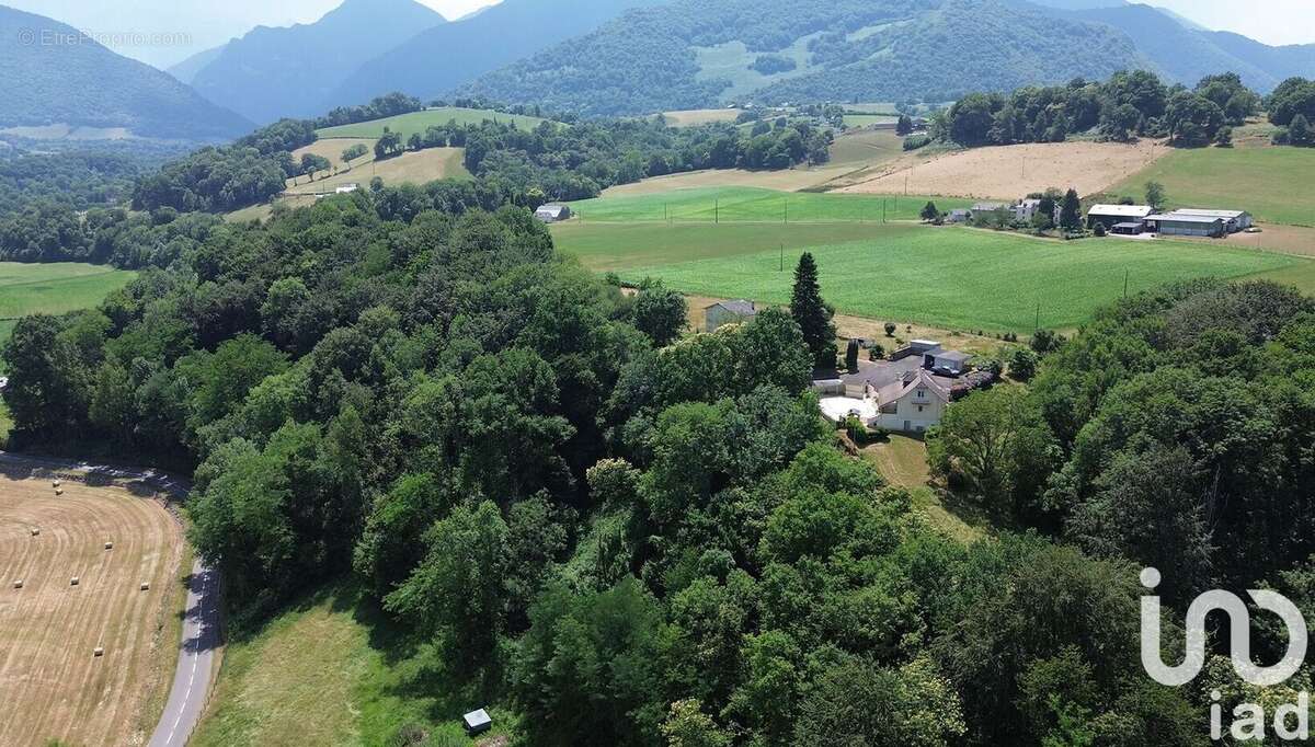 Photo 3 - Maison à ASSON