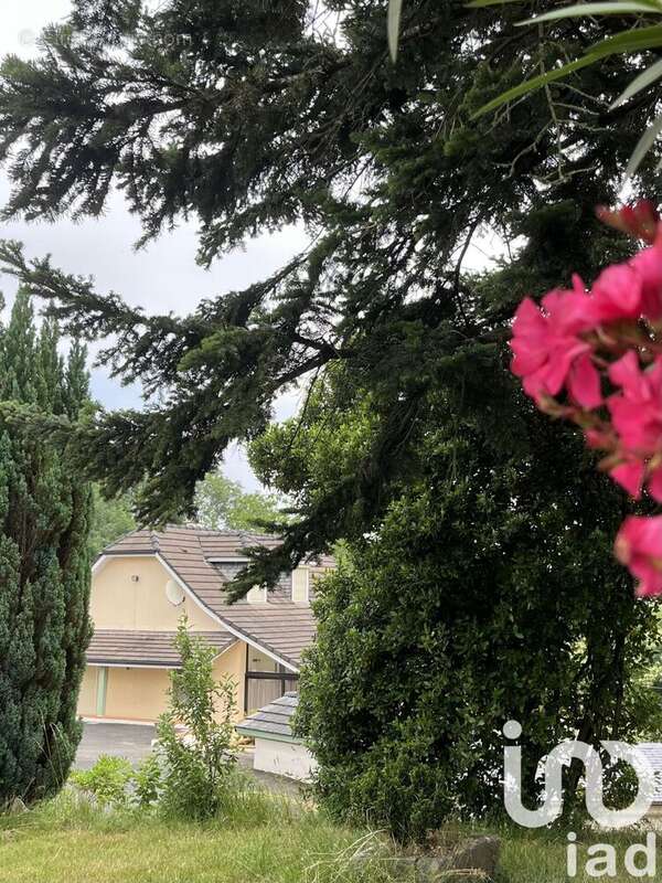 Photo 6 - Maison à ASSON