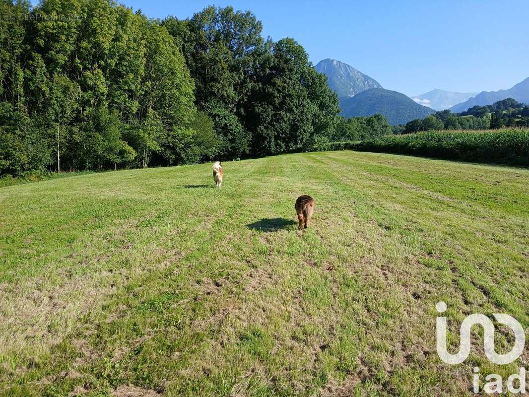 Photo 7 - Maison à ASSON