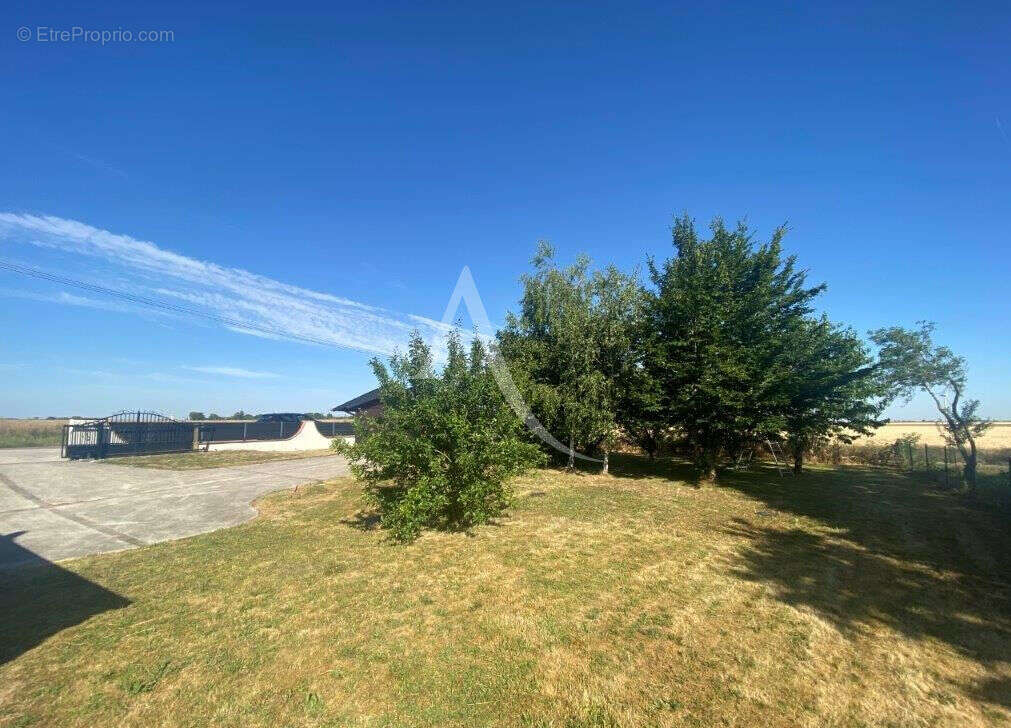 Maison à NEUVILLE-AUX-BOIS