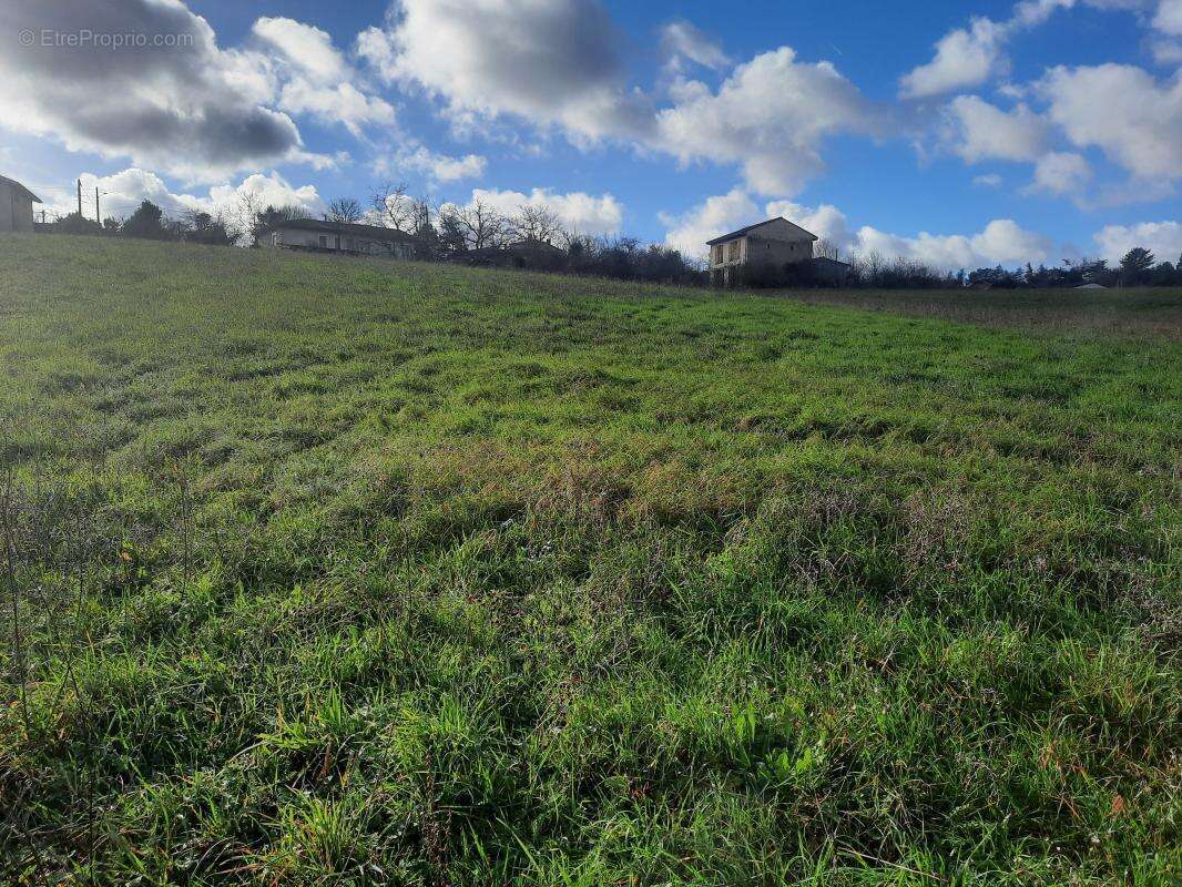 Terrain à AUCH