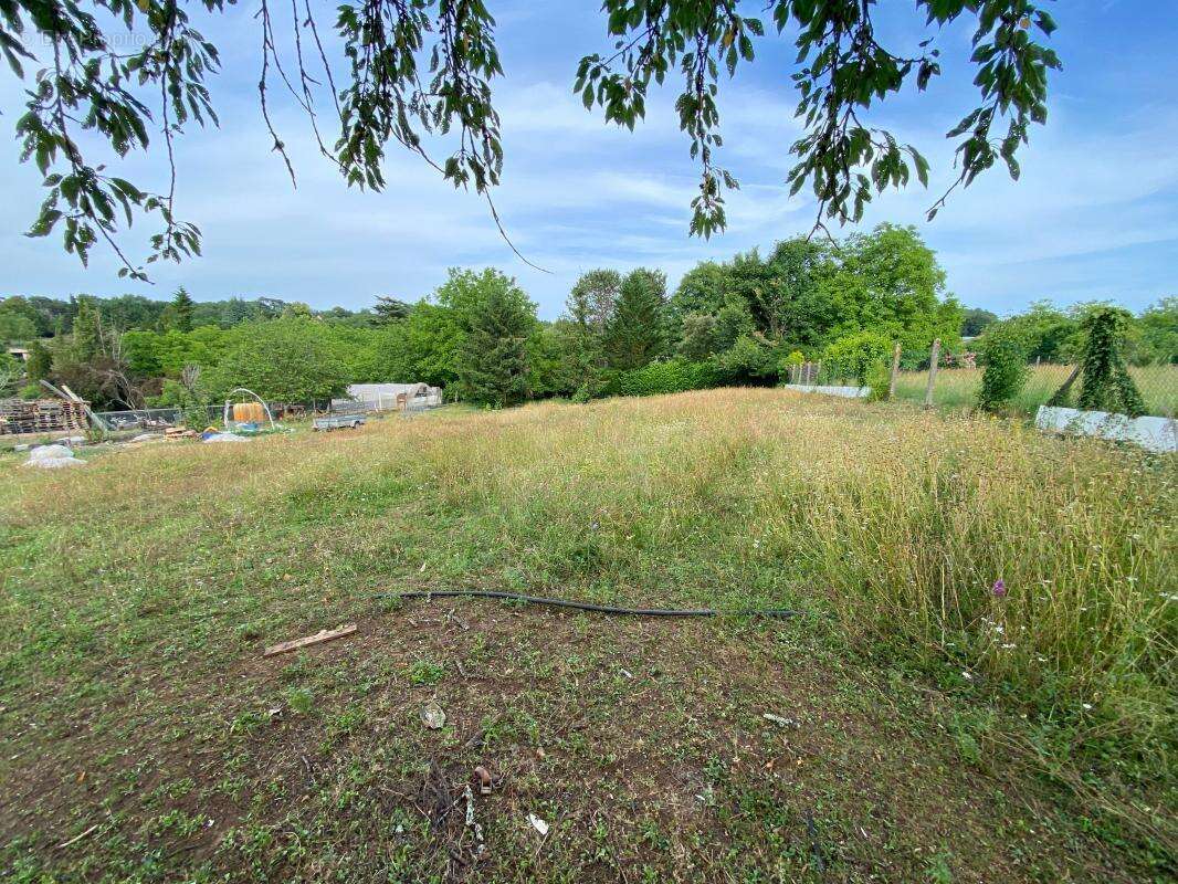 Terrain à SAINTE-ALVERE