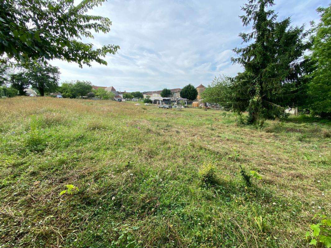 Terrain à SAINTE-ALVERE