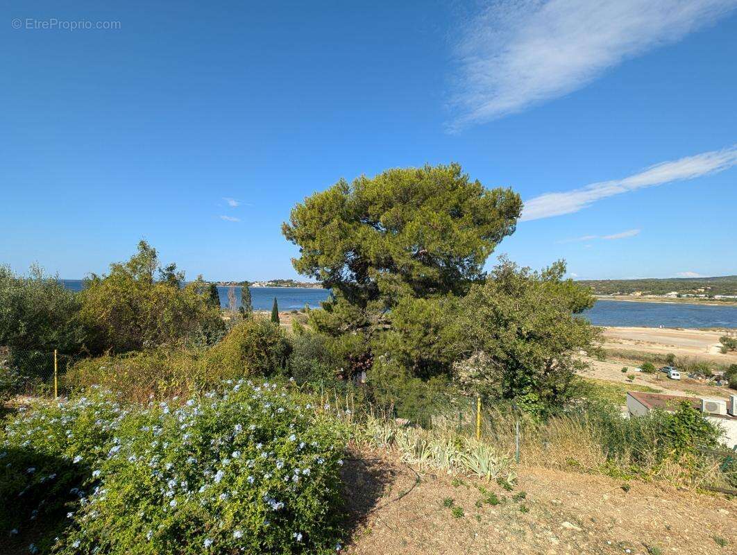Maison à BALARUC-LE-VIEUX