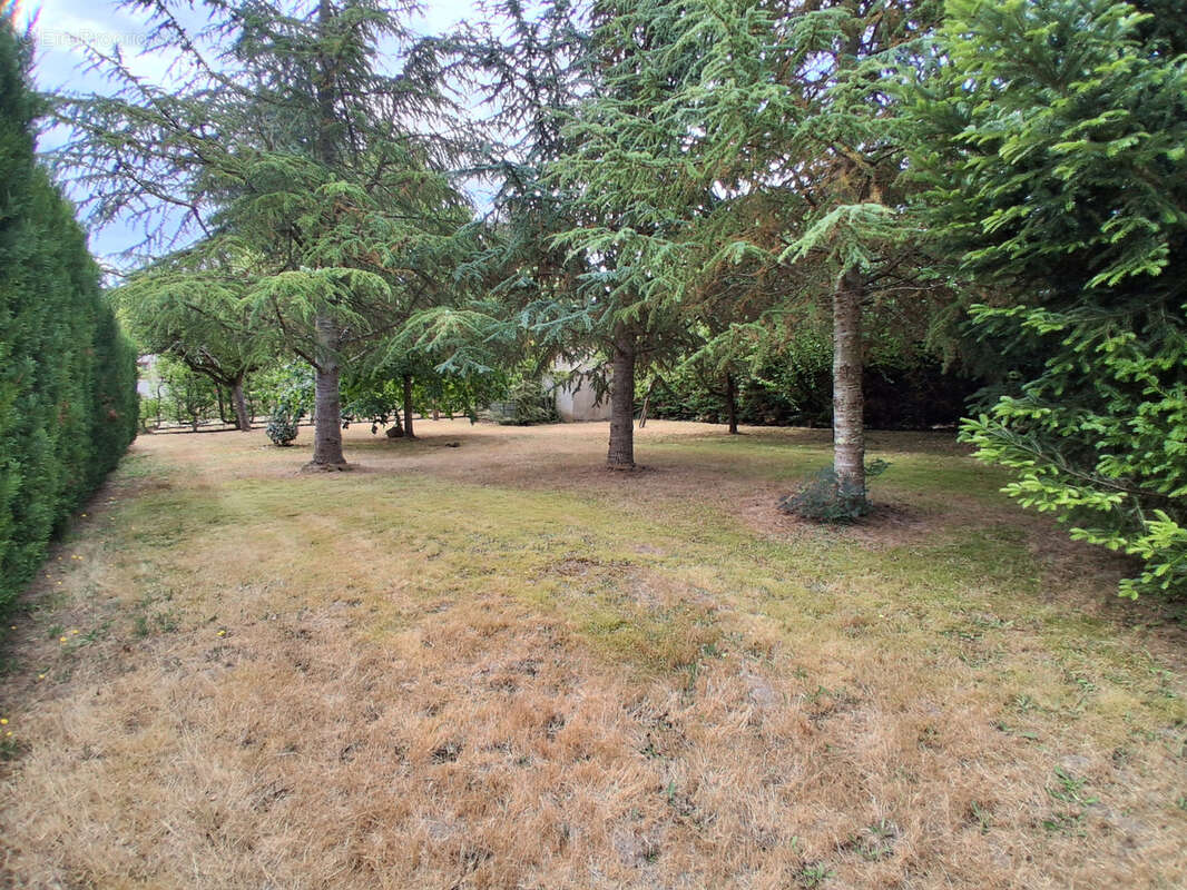 Maison à SAINT-GONDON