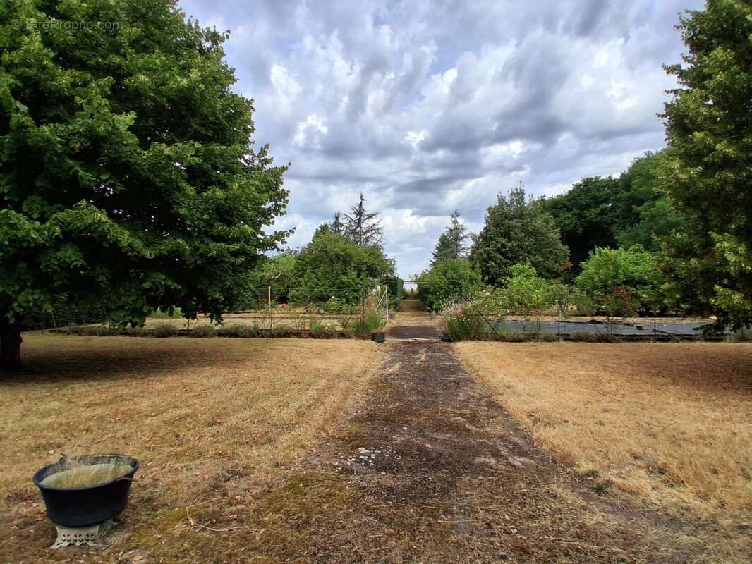 Maison à SAINT-GONDON