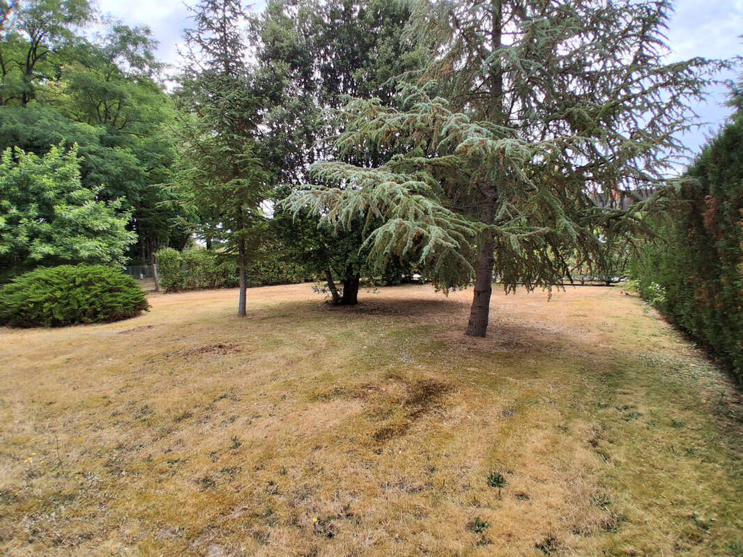 Maison à SAINT-GONDON