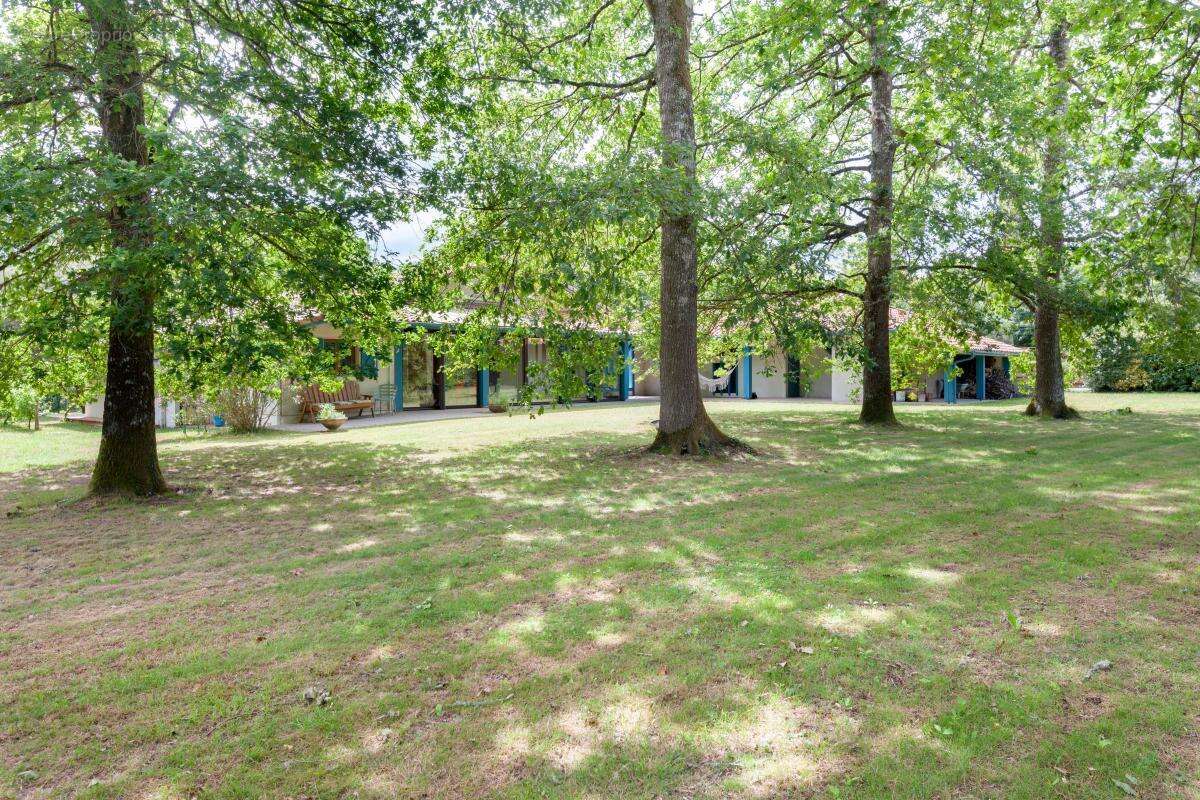 Maison à SAINTE-FOY