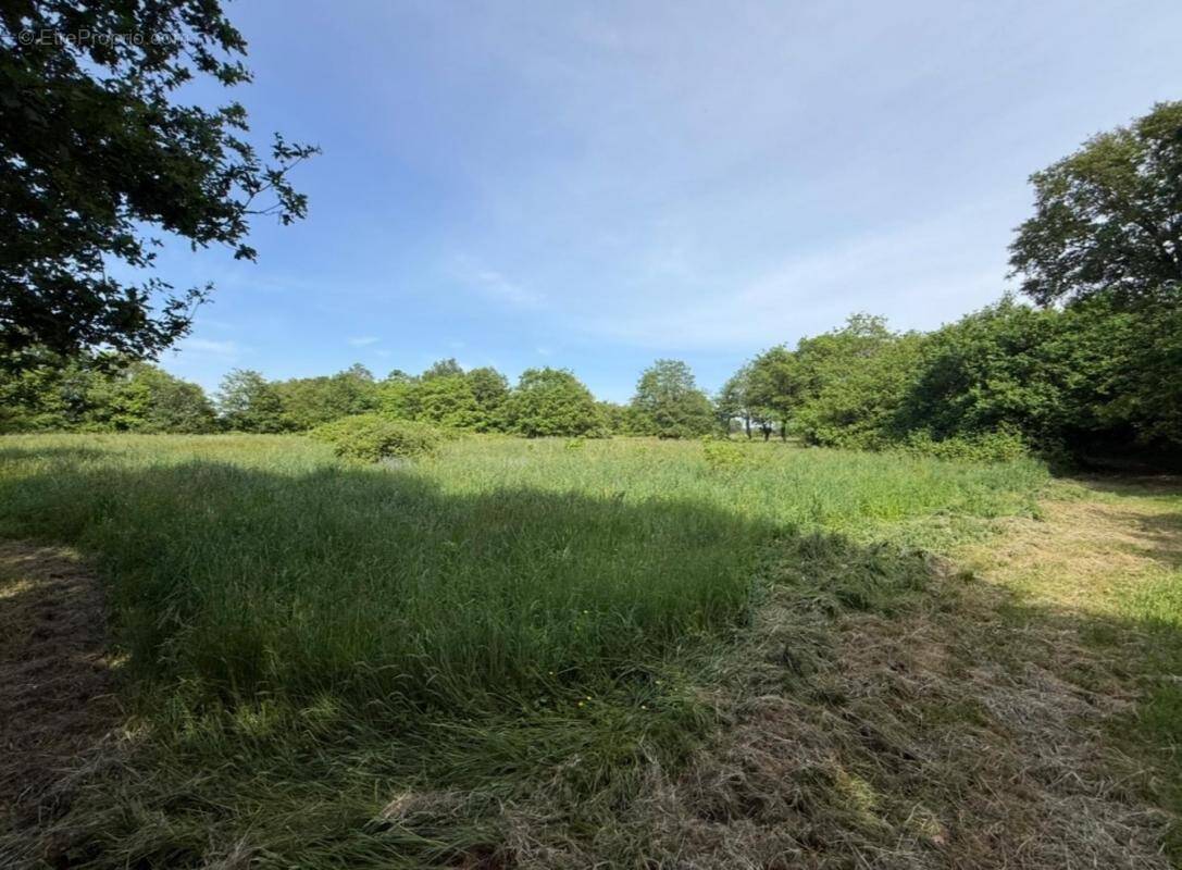 Maison à LE ROC-SAINT-ANDRE