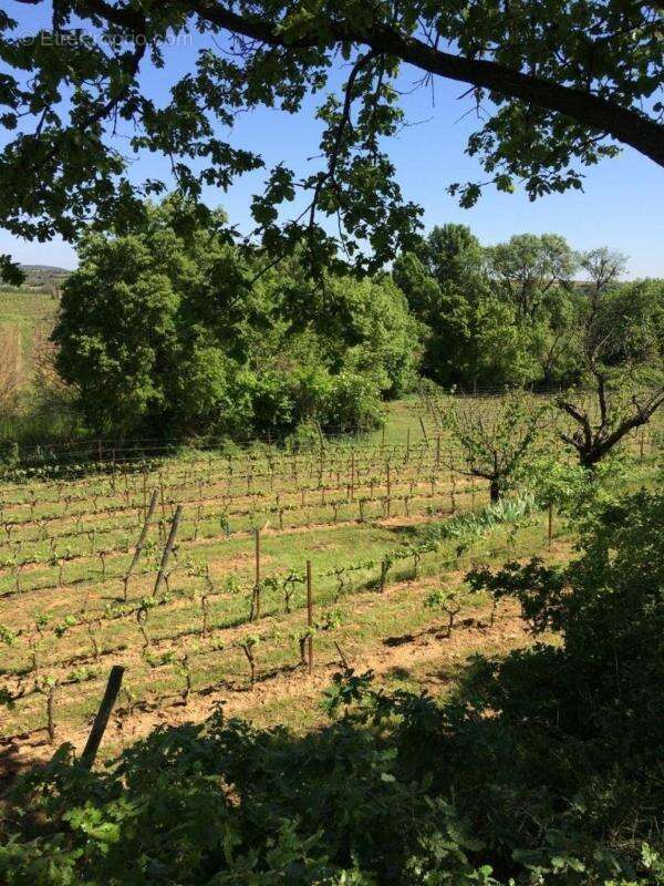 Terrain à ALIGNAN-DU-VENT