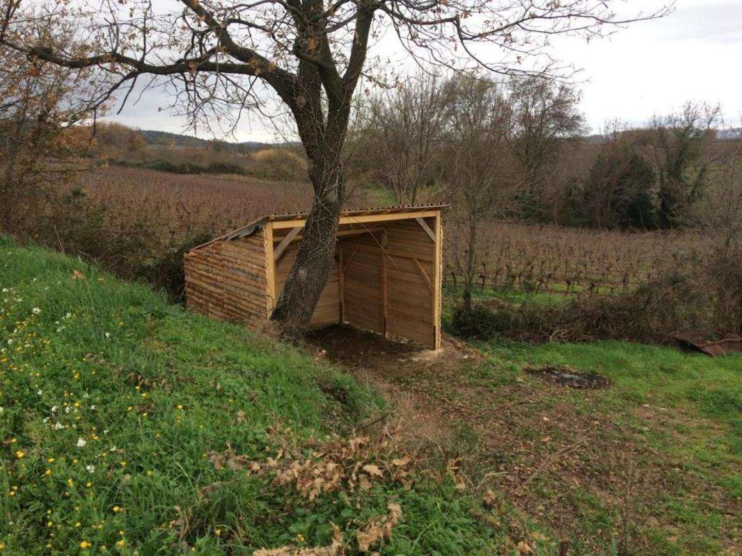 Terrain à ALIGNAN-DU-VENT