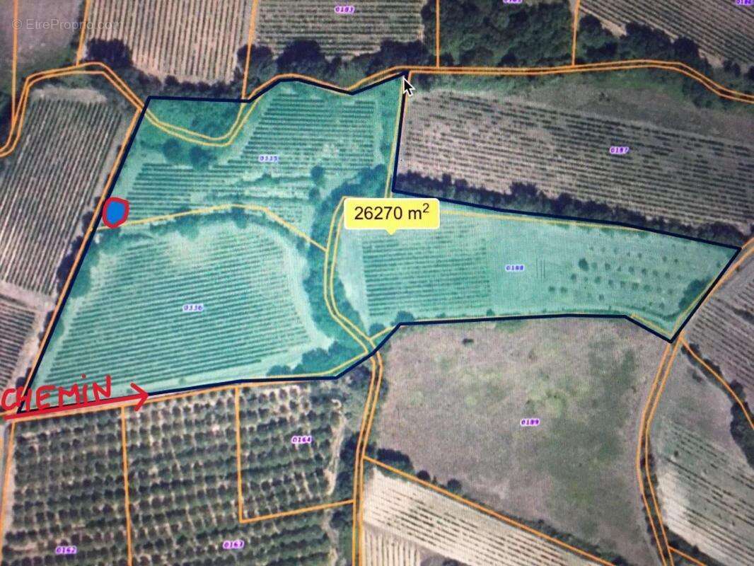 Terrain à ALIGNAN-DU-VENT