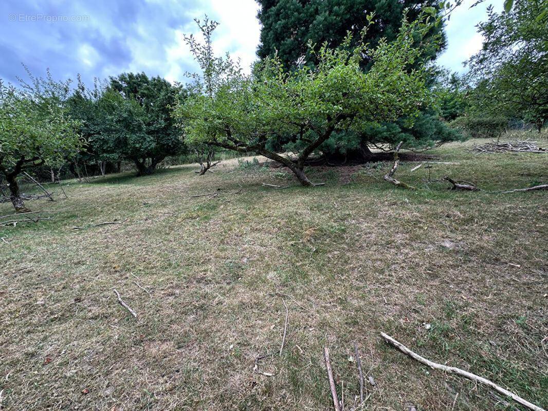 Terrain à SOULTZ-HAUT-RHIN